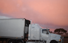 global trade freight